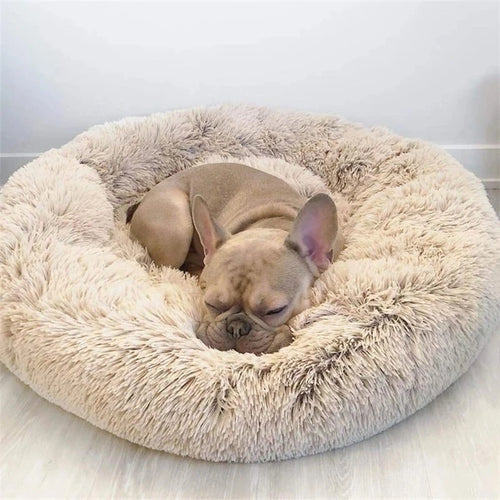 CalmPaw Calming Cloud Pet Bed — Anxiety Relief & Deep Sleep Design